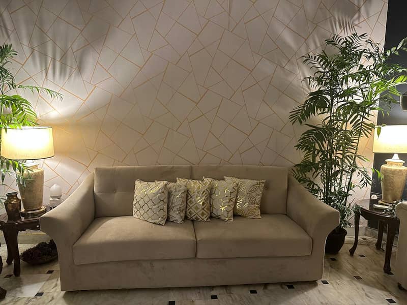 5 seater Sofa set 3