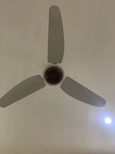 Zam zam fans available