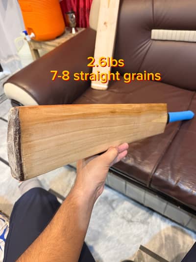 English willow premium cricket bat for professional use