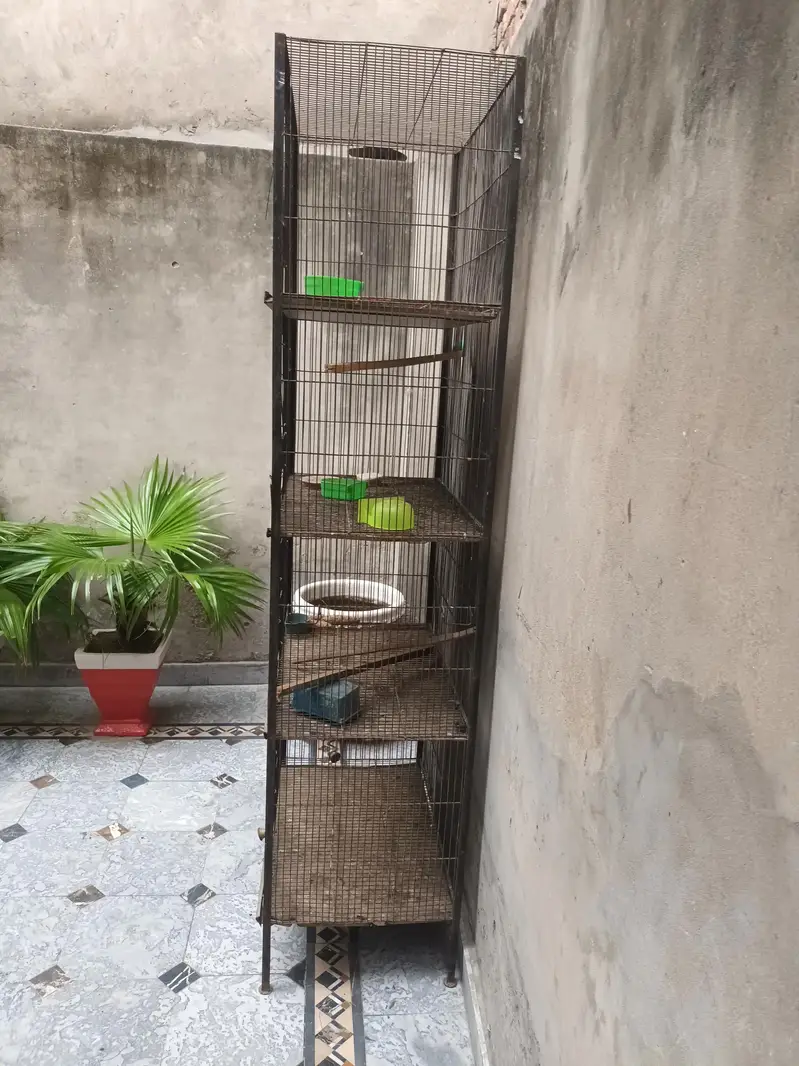 4 portion cage for sale — photo 4
