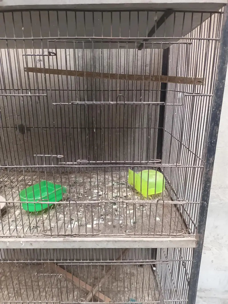 4 portion cage for sale — photo 5