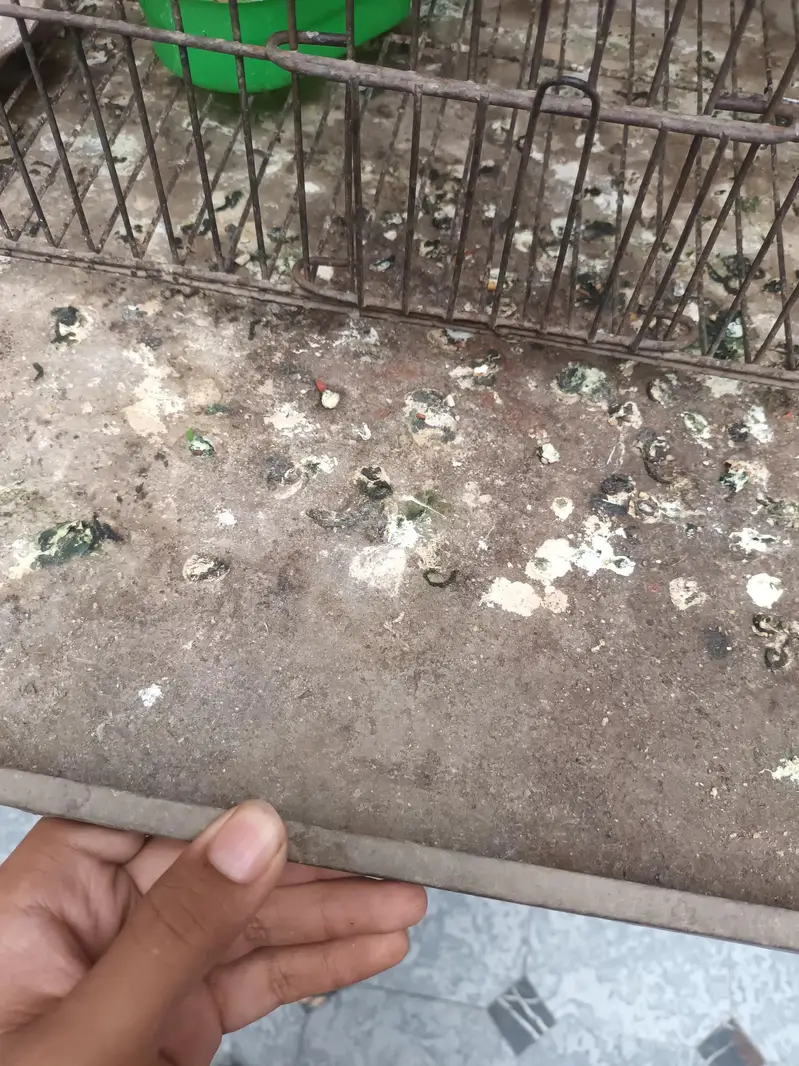 4 portion cage for sale — photo 8