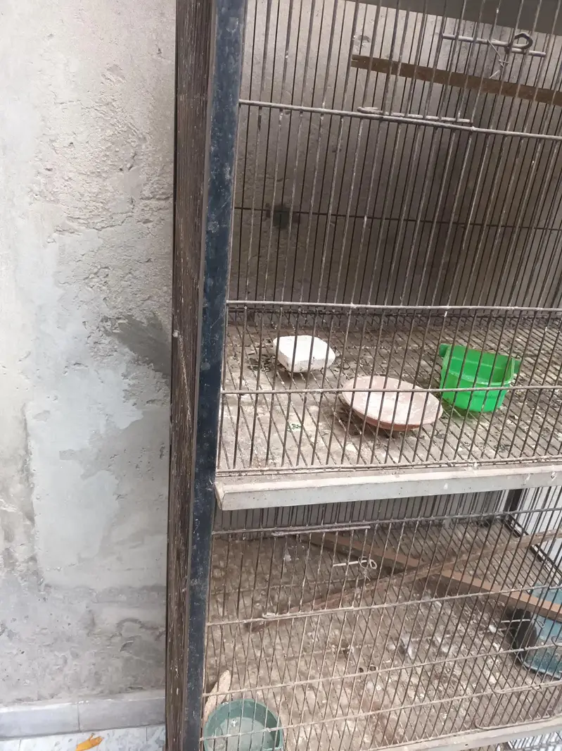 4 portion cage for sale — photo 9