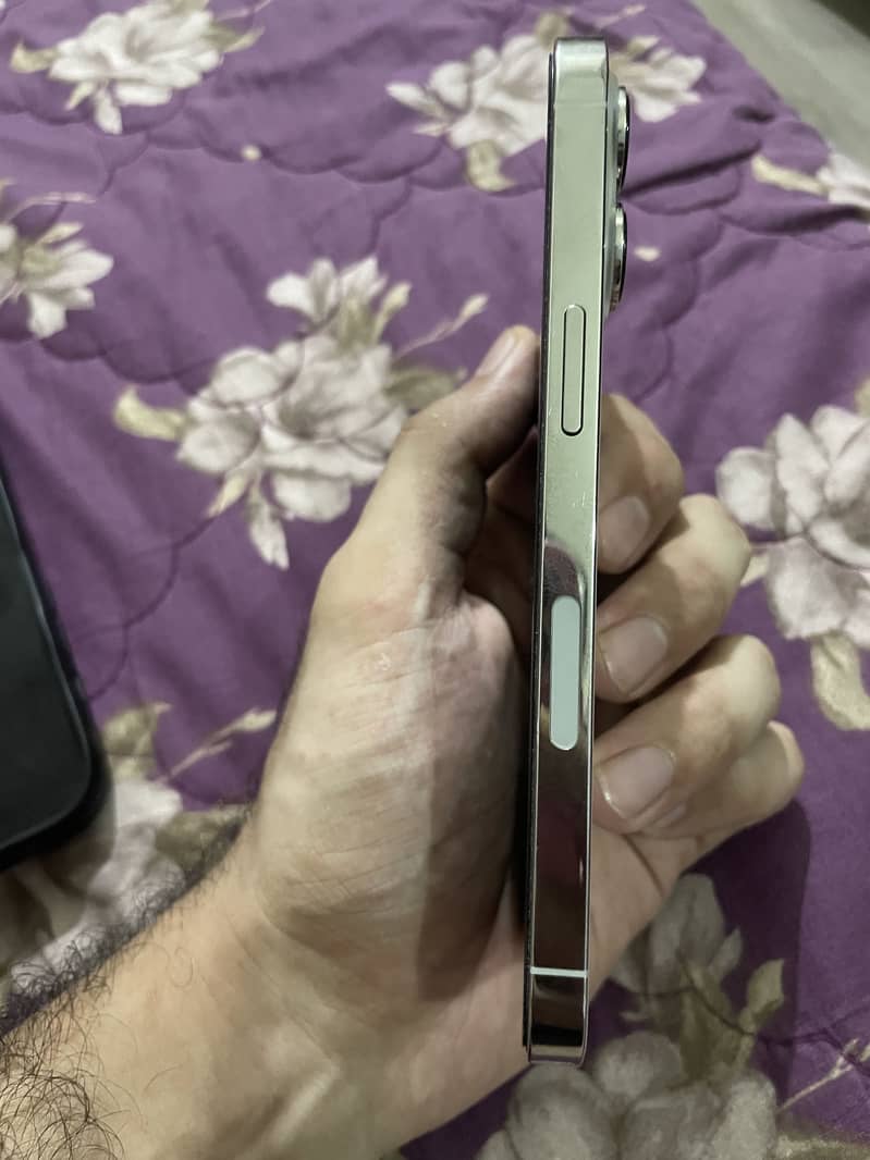 Apple iPhone 13 Pro 2