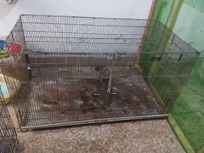 Cage folding 4'x2'x2' for birds is available for sale