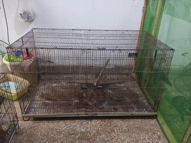 Cage folding 4'x2'x2' for birds is available for sale — photo 2