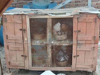 4 porshan cage for sale