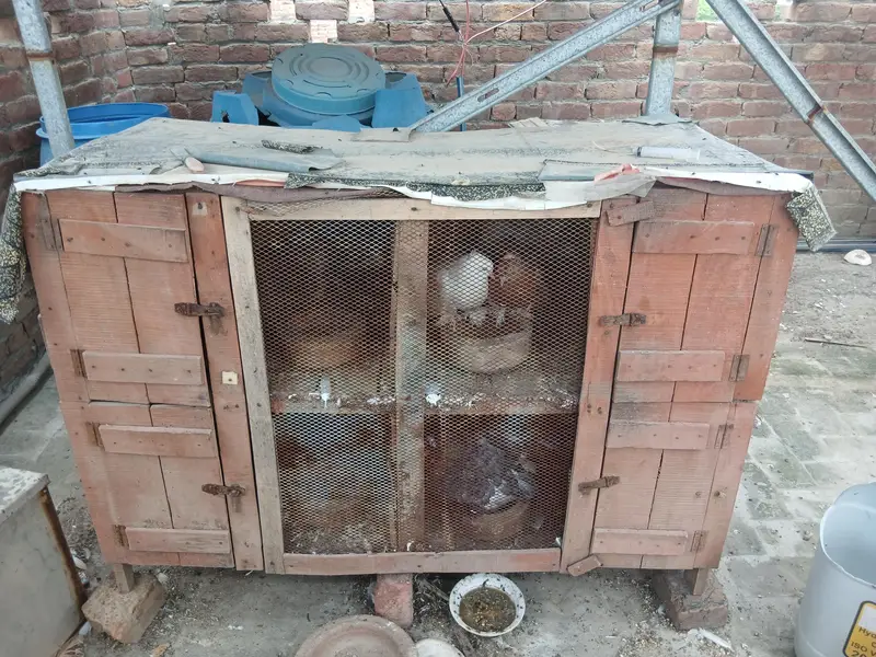 4 porshan cage for sale — photo 2