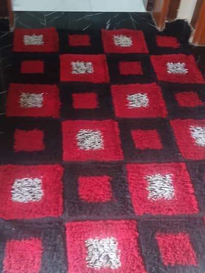 Quality Carpet for Living Room