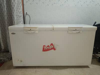 freezer Triplet Waves
