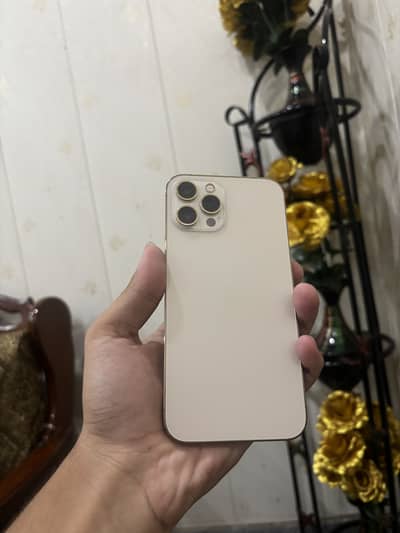 iPhone 12 Pro Max non pta 256 gb