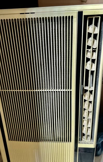 Window 110 AC