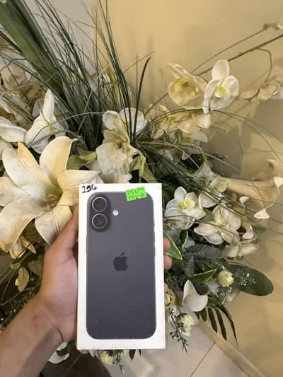 Apple iPhone 17