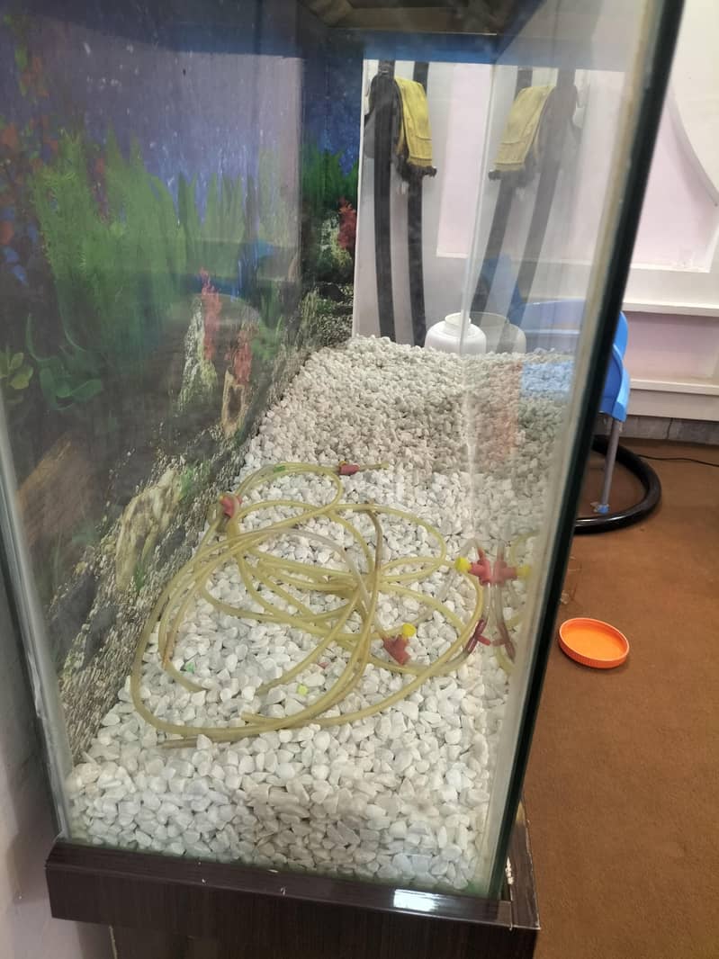 Fish acquirm 3
