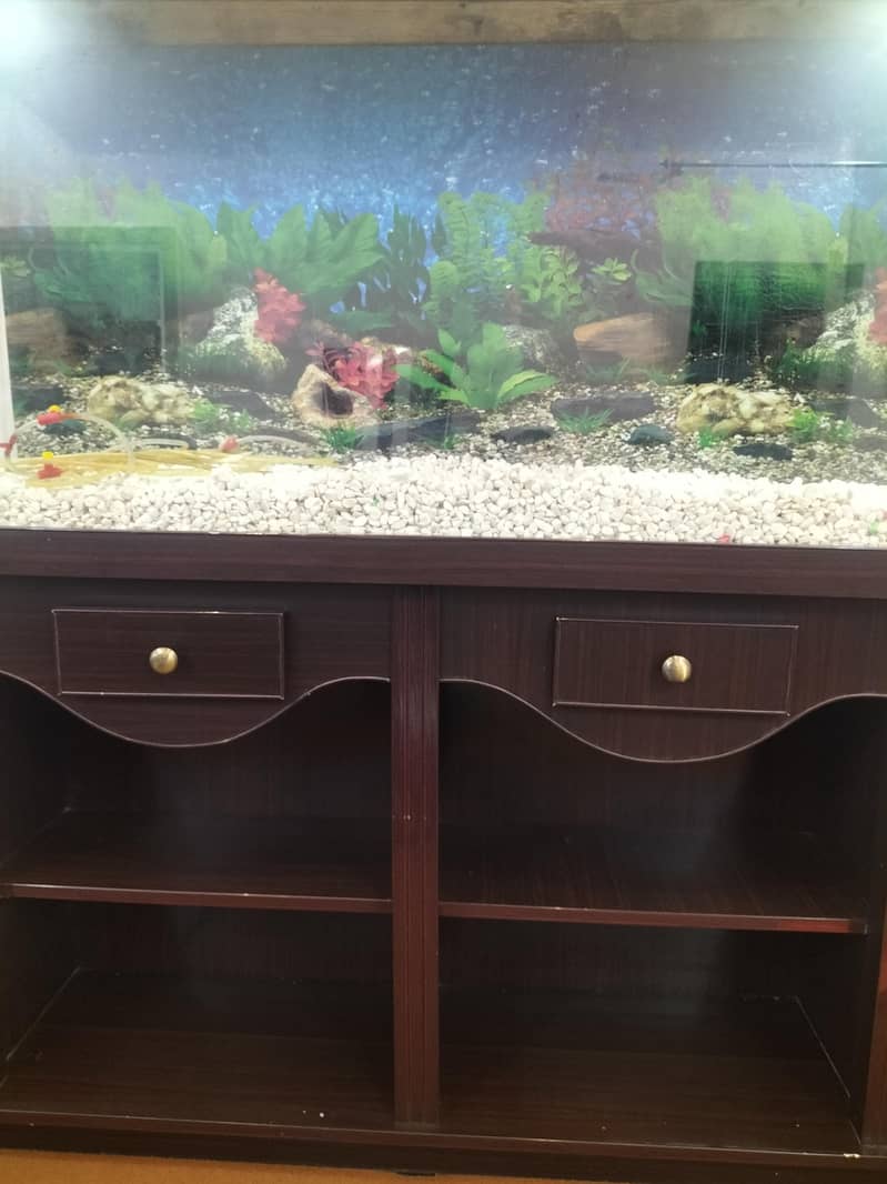 Fish acquirm 4