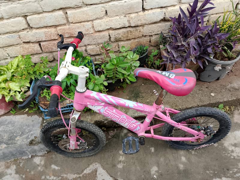 bicycle 1