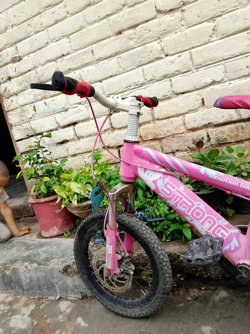 bicycle 2