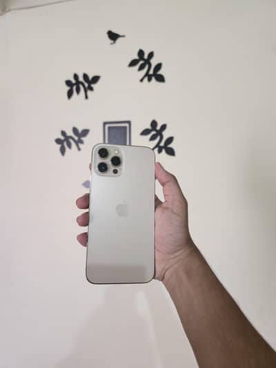 iPhone 12 Pro Max Dual Physical PTA