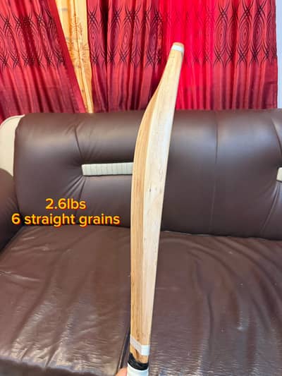 English willow premium cricket bat for professional use