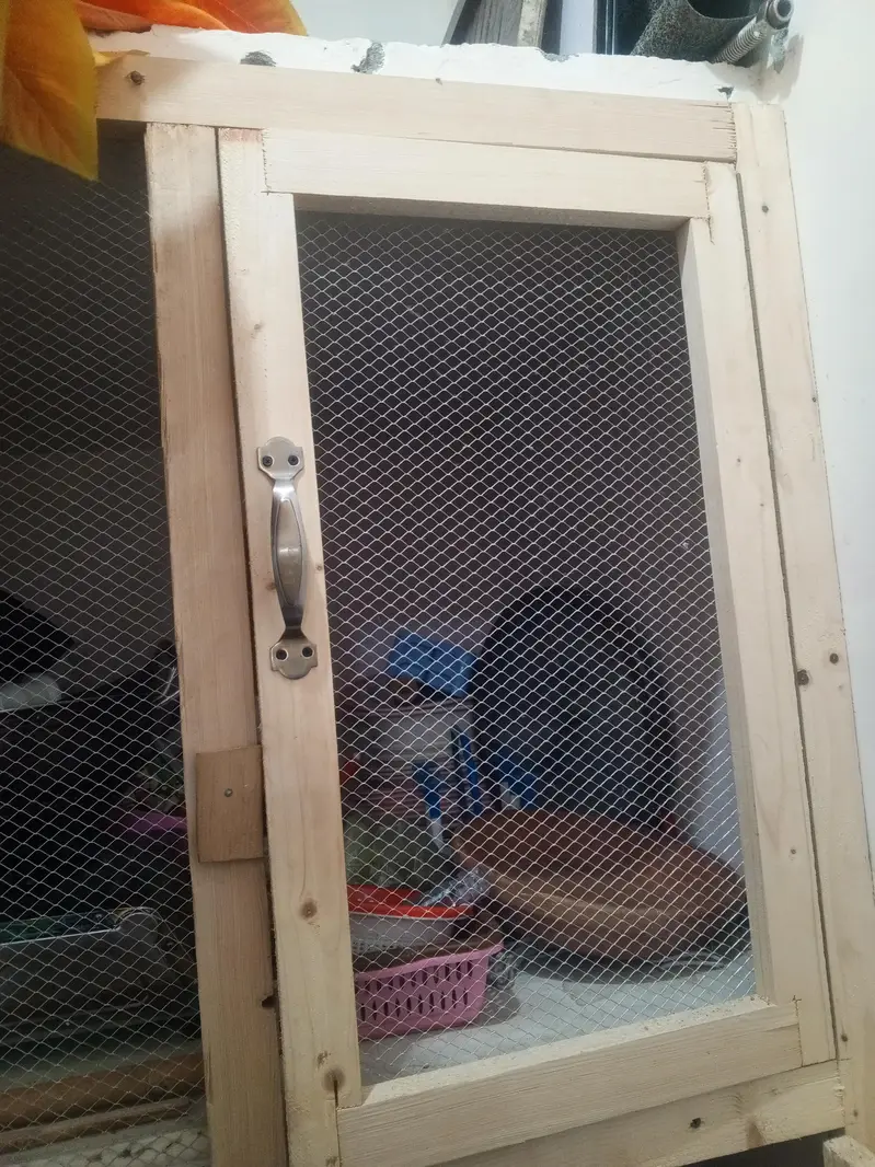 Wooden Front Frame with Dual Doors (Custom Built) — photo 3