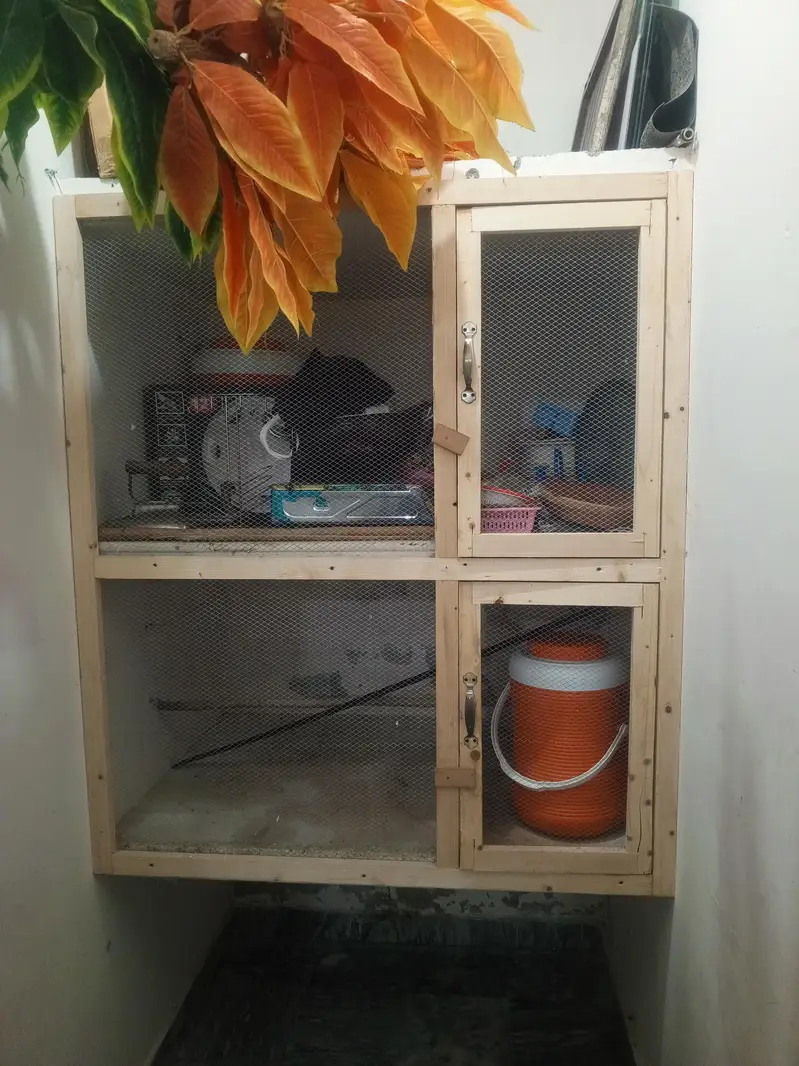 Wooden Front Frame with Dual Doors (Custom Built) — photo 8