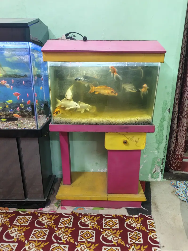 Aquarium with fish and all accessories — photo 2