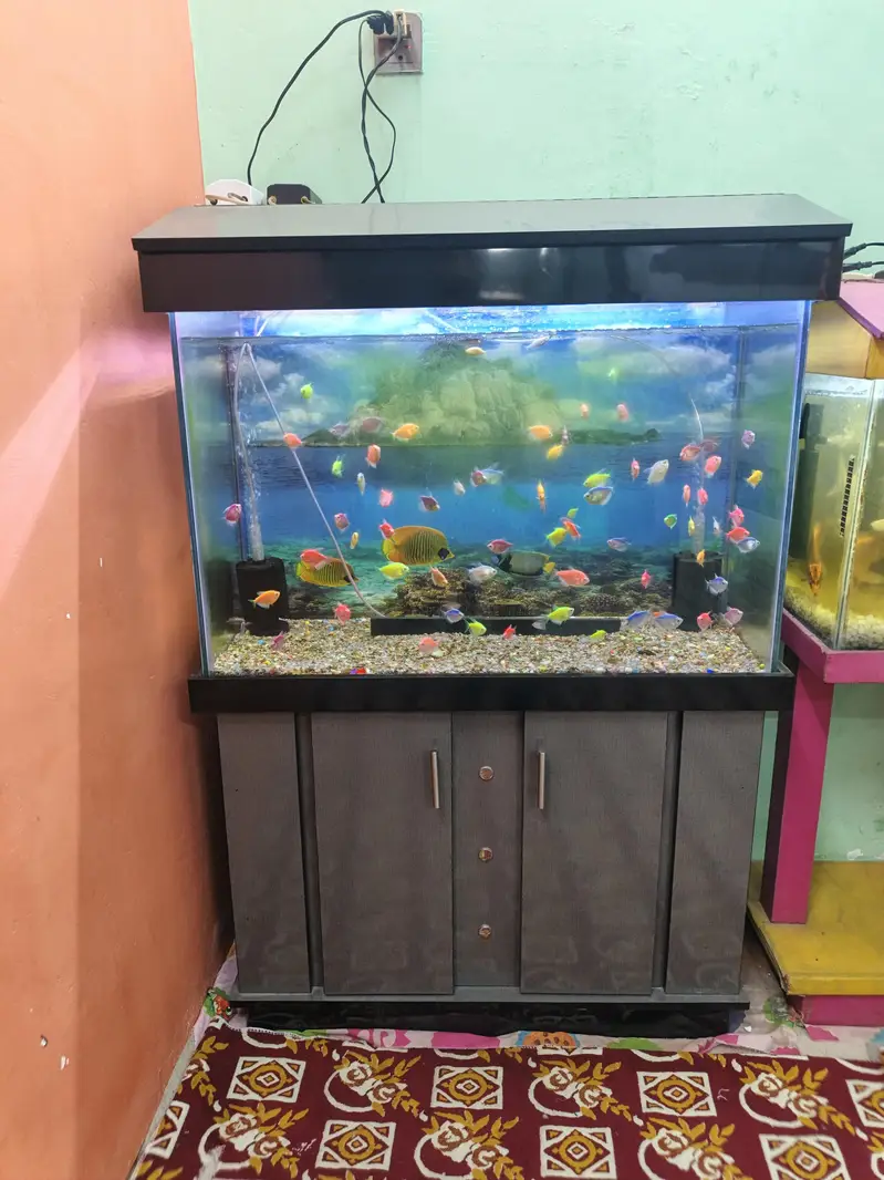 Aquarium with fish and all accessories — photo 3