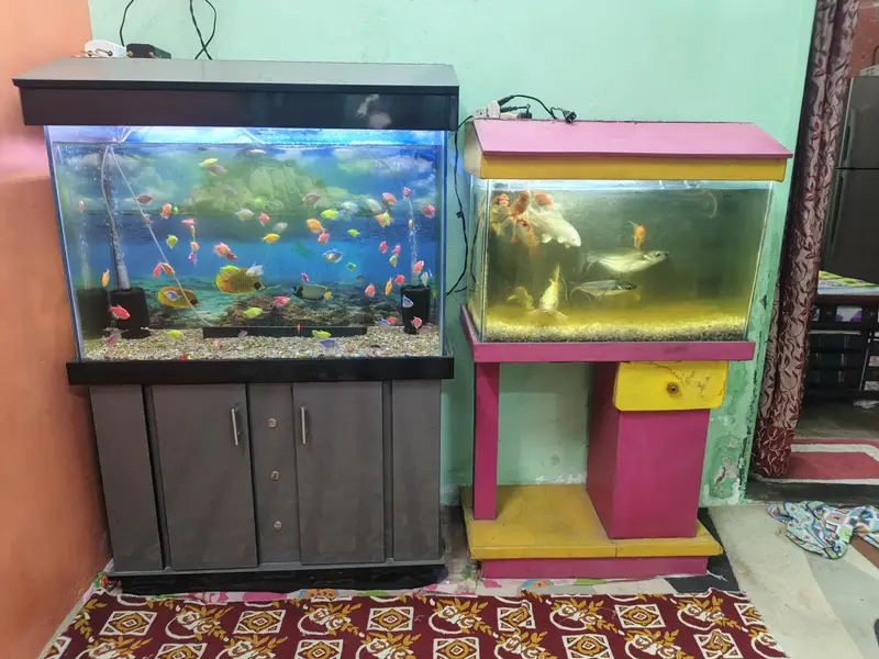 Aquarium with fish and all accessories — photo 4