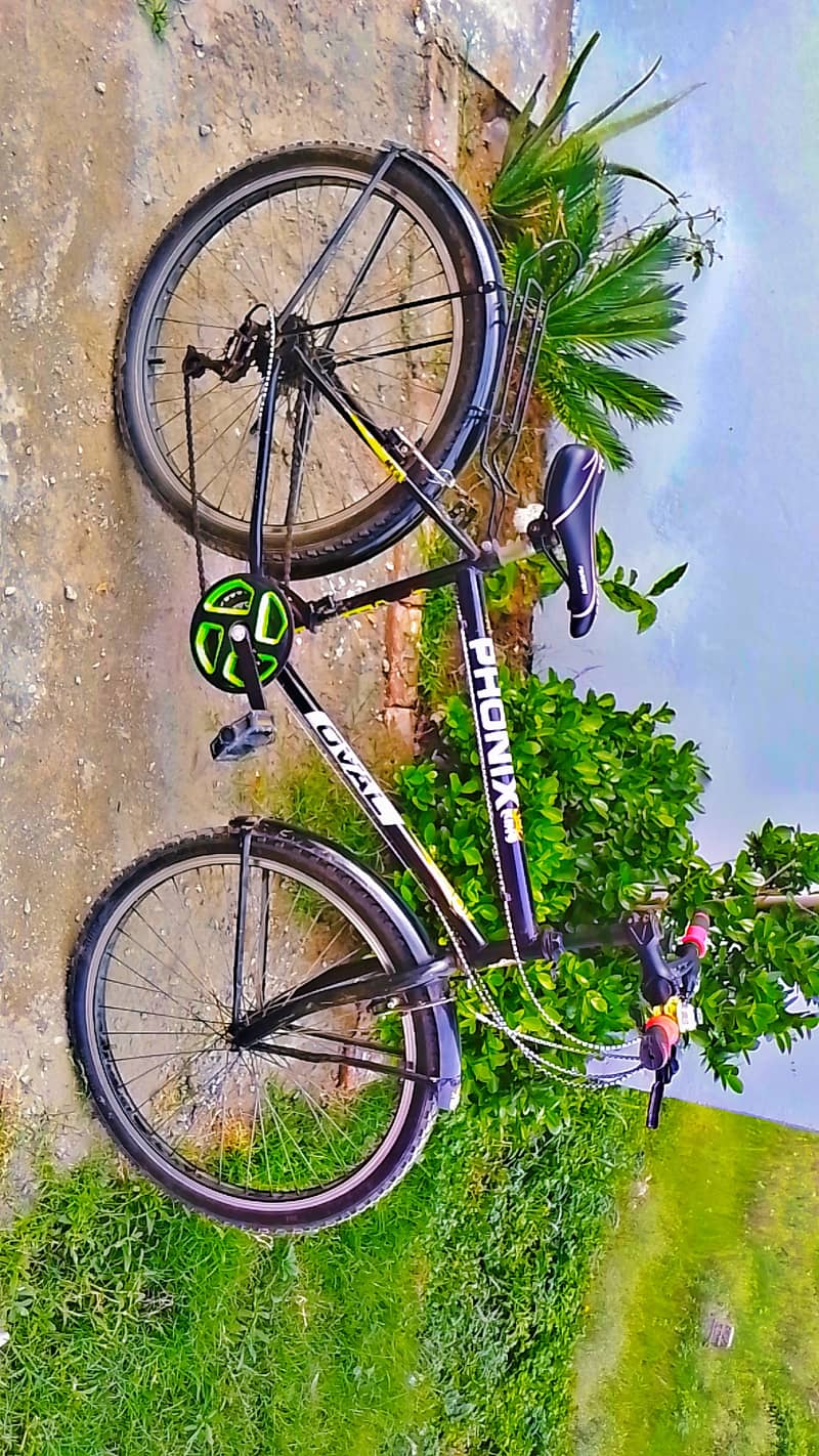 BICYCLE 1