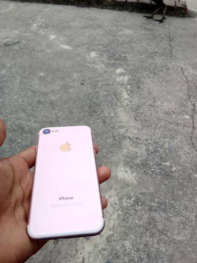 Iphone 7