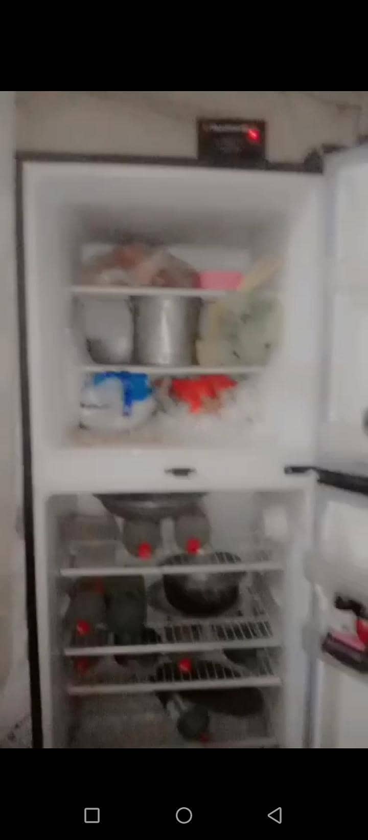 fridge 3