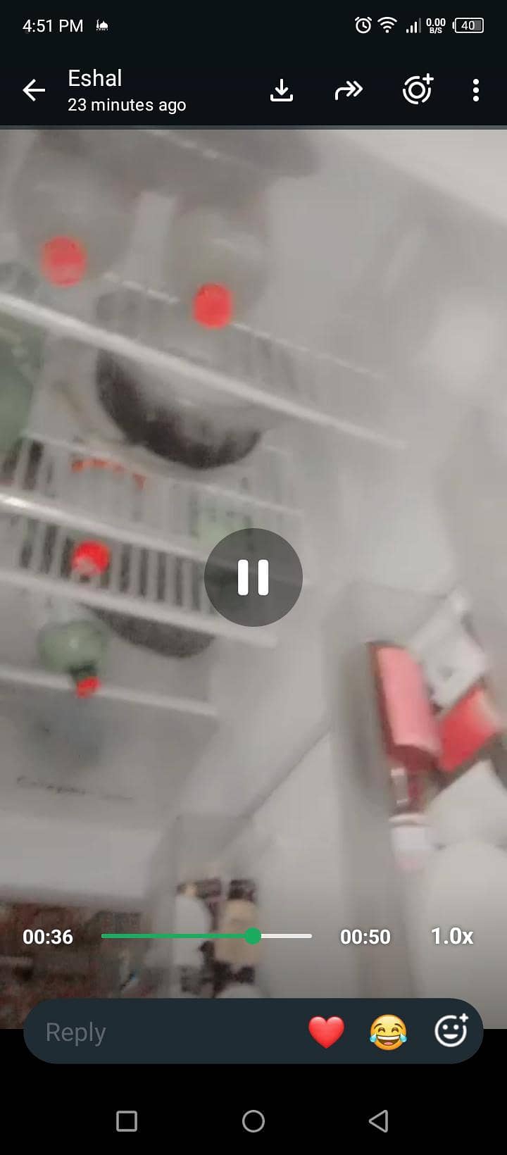 fridge 5