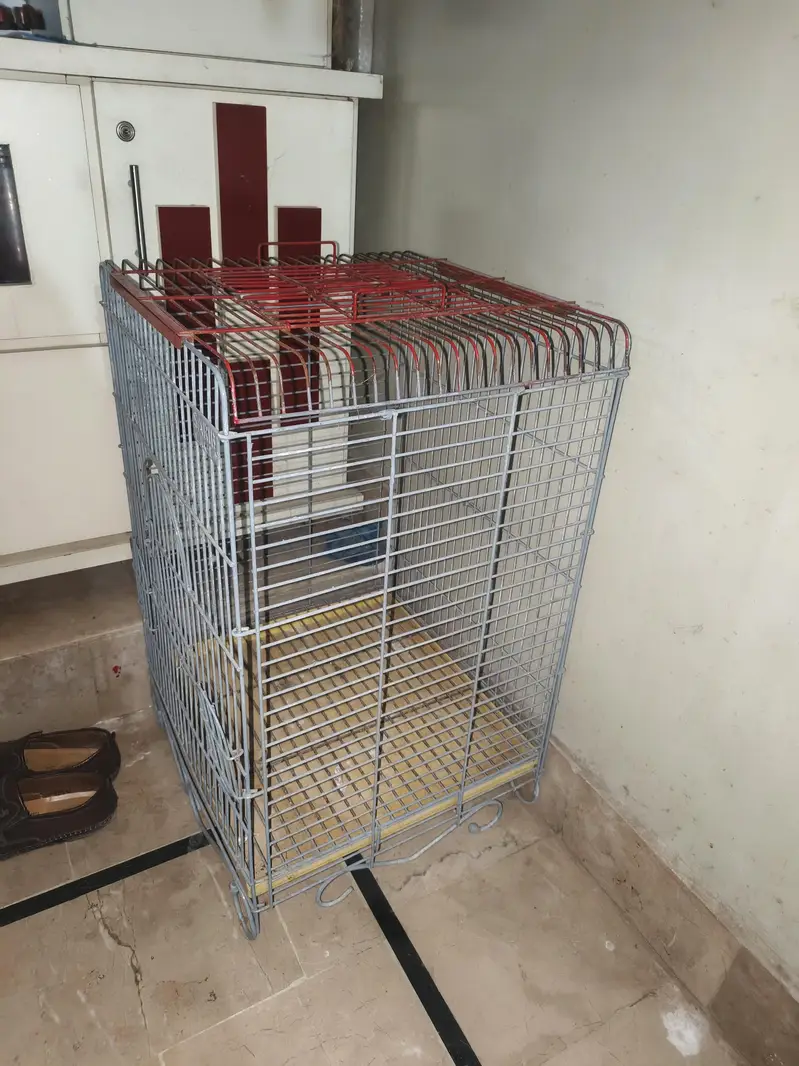 Raw parrot cage — photo 2