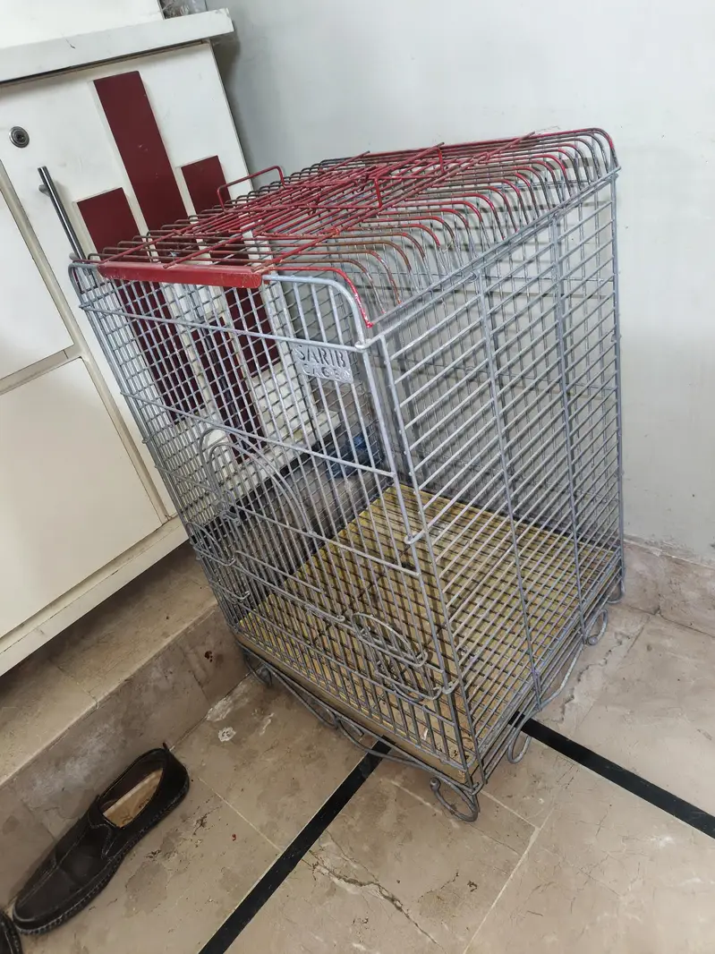 Raw parrot cage — photo 3
