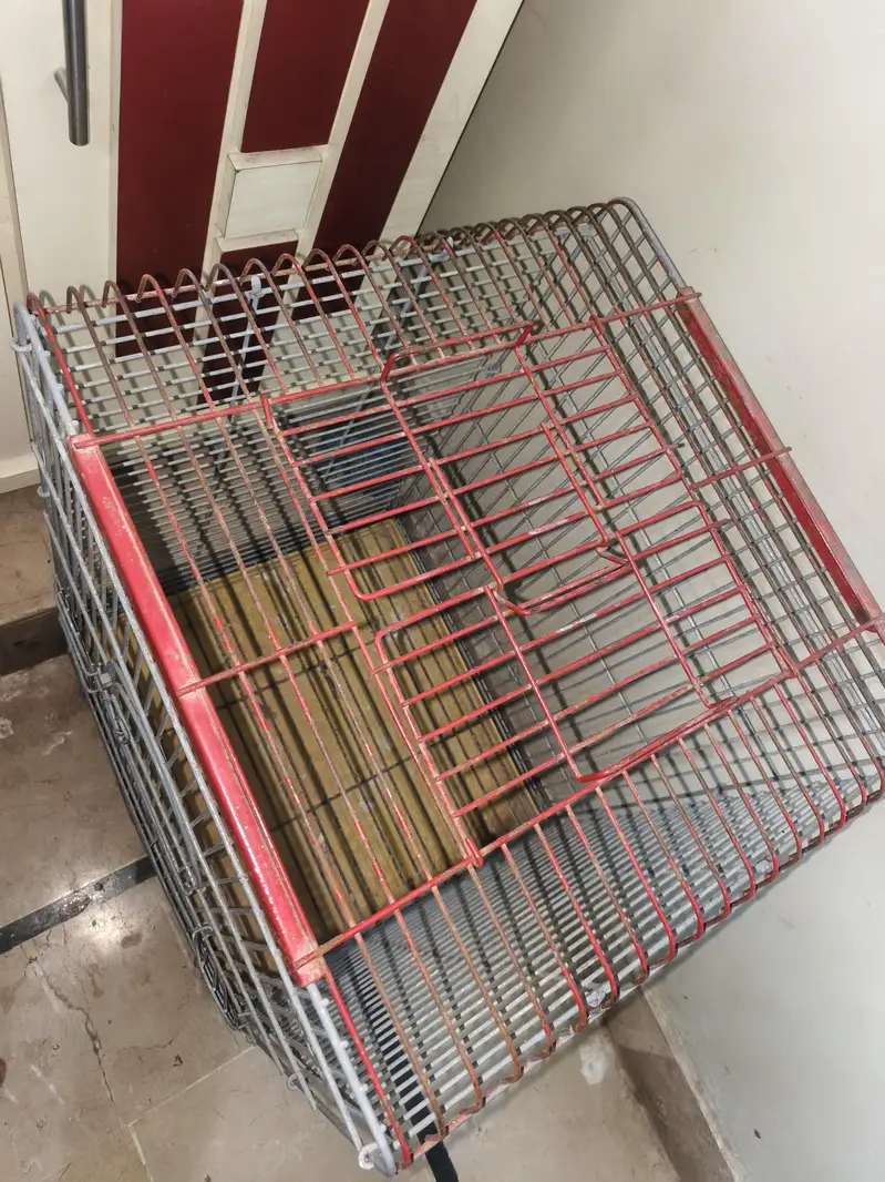 Raw parrot cage — photo 4