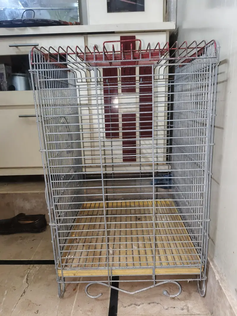Raw parrot cage — photo 5