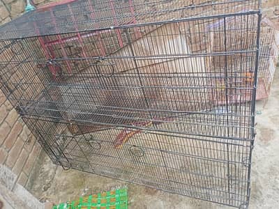 Bird Cage | 8 portion | pet | Birds lover