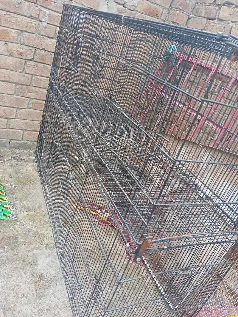 Bird Cage | 8 portion | pet | Birds lover — photo 2