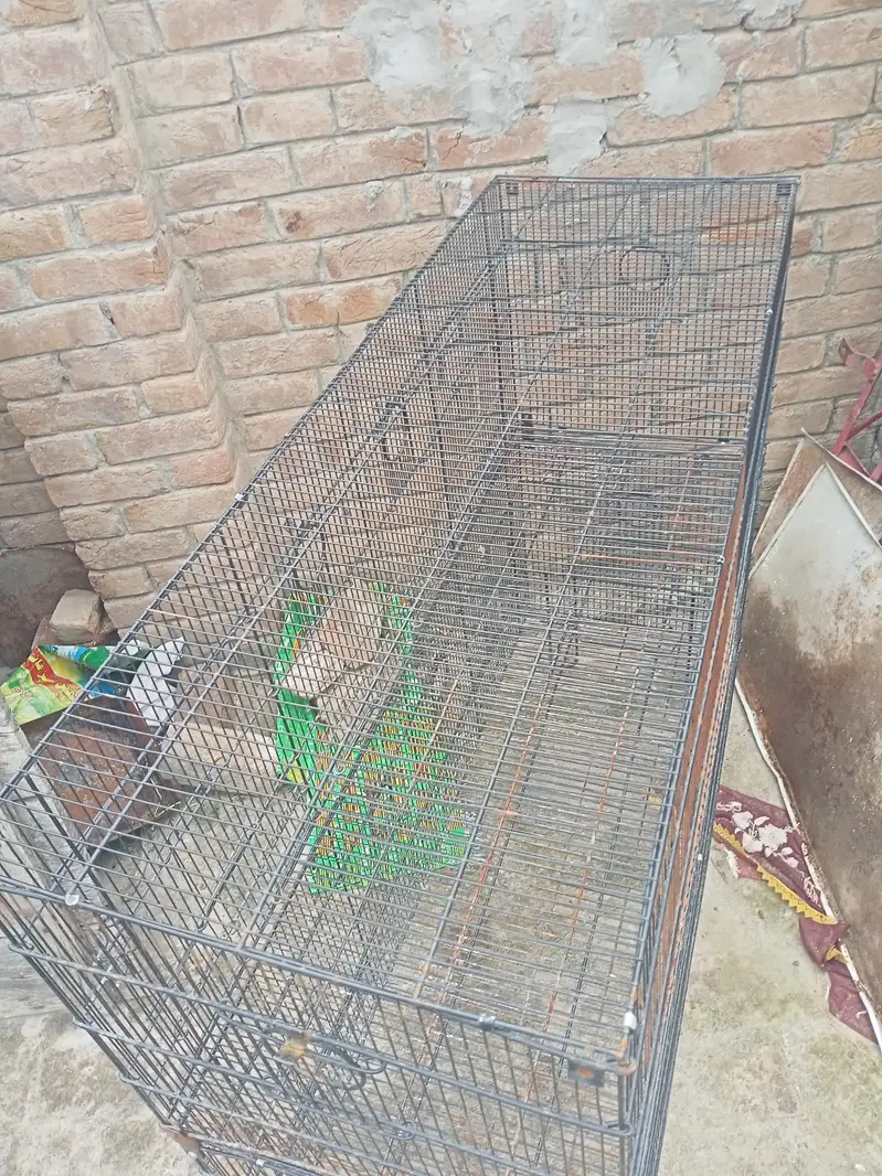 Bird Cage | 8 portion | pet | Birds lover — photo 4