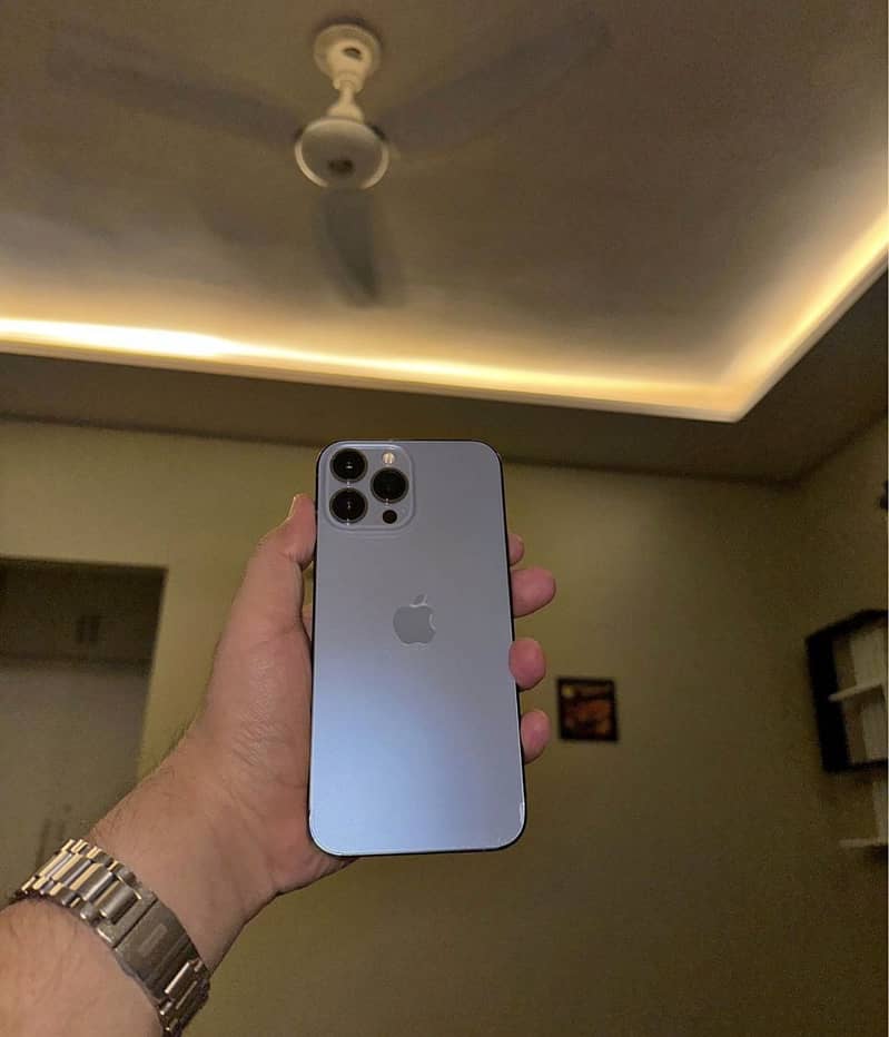 Apple iPhone 13 Pro Max 1