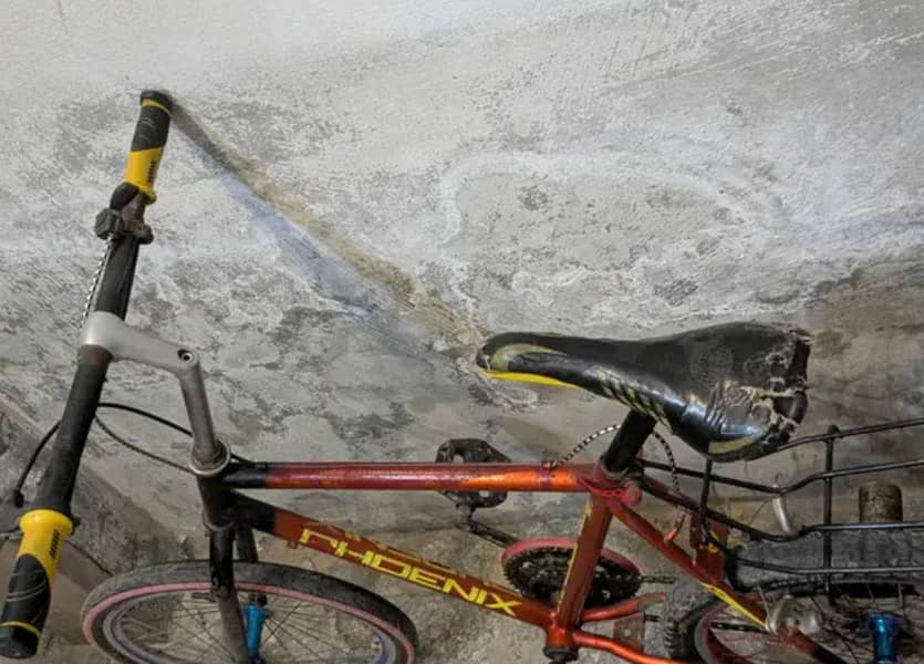bicycle  1