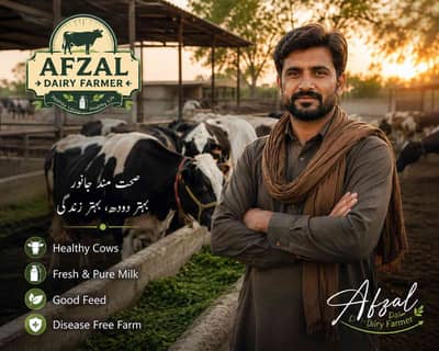 M AFZAL Dairy farmer
