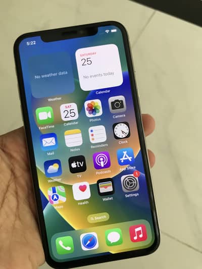 Apple iPhone X