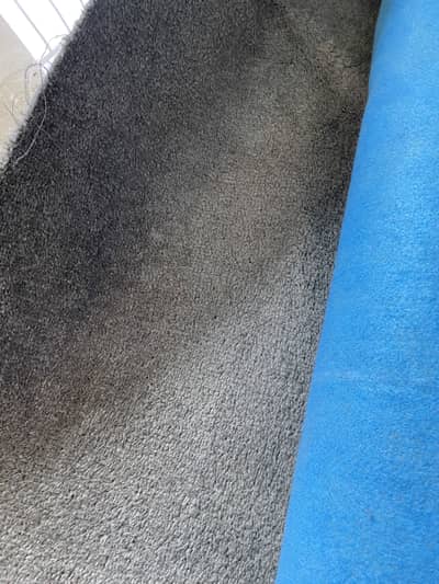 Grey Carpet