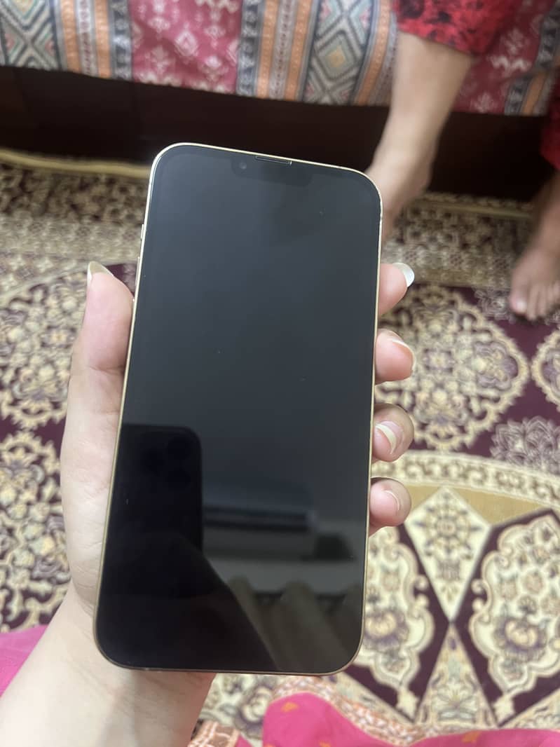 Apple iPhone 13 Pro Max 1