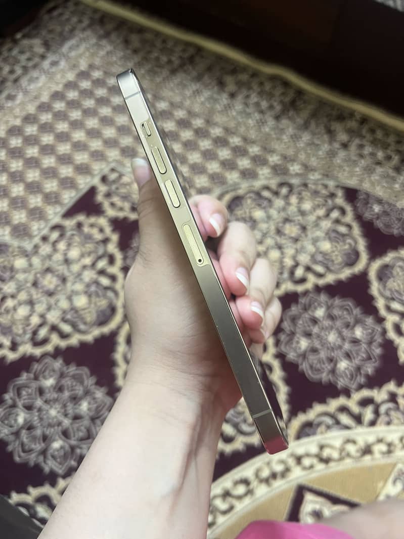 Apple iPhone 13 Pro Max 2