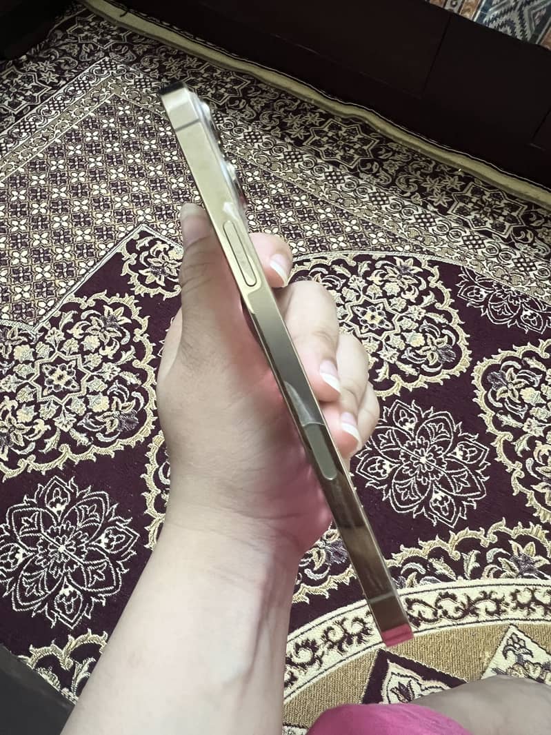 Apple iPhone 13 Pro Max 4