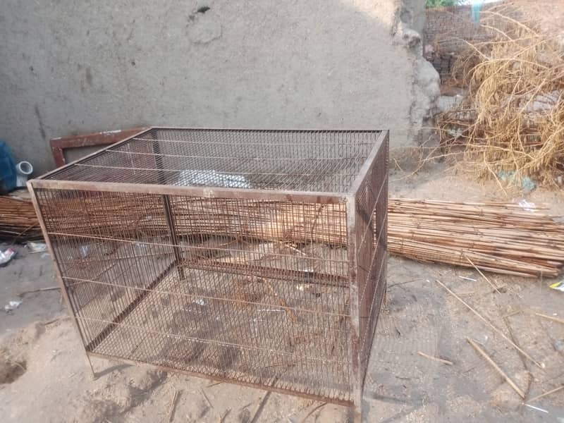 Cage khuda 1