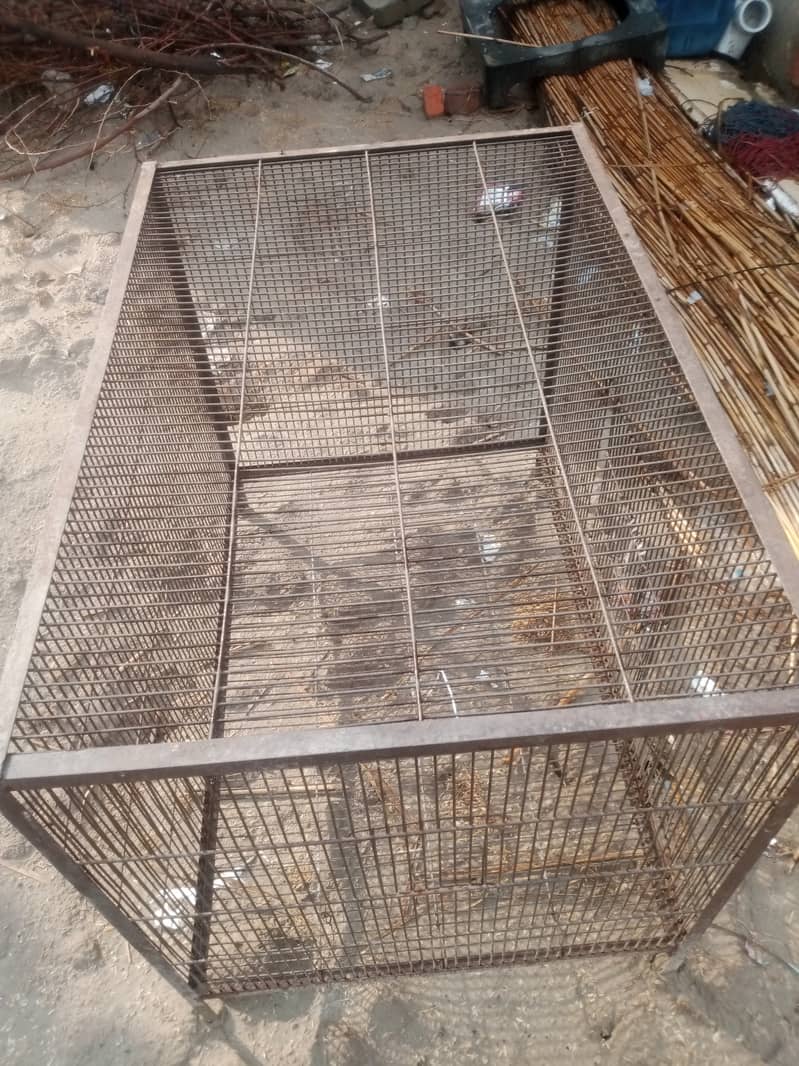 Cage khuda 2