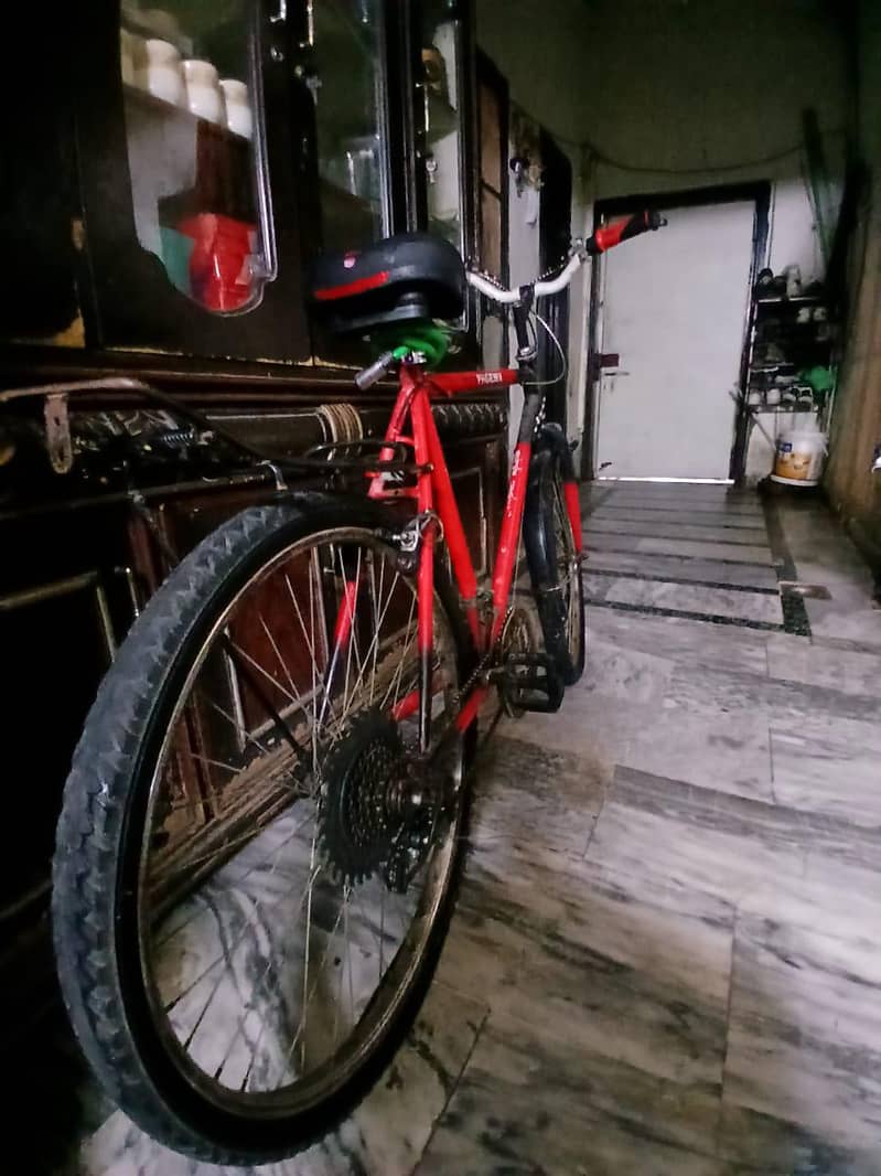 Phoenix  Cycle 1